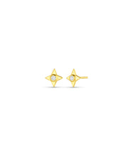 Small Star Stud