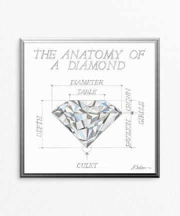 The Anatomy of a Diamond Watercolor Rendering printed on Paper